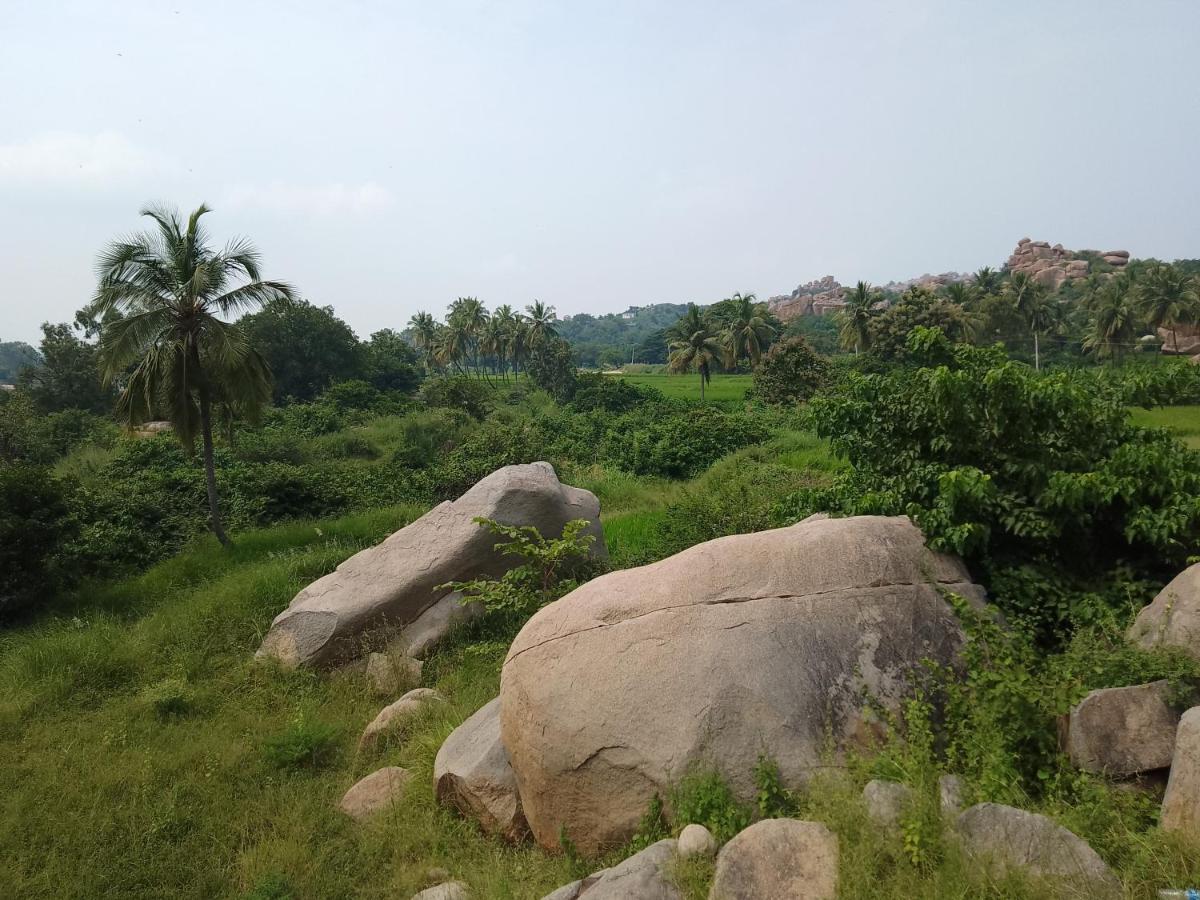 Monkey Paradise Hampi Luaran gambar