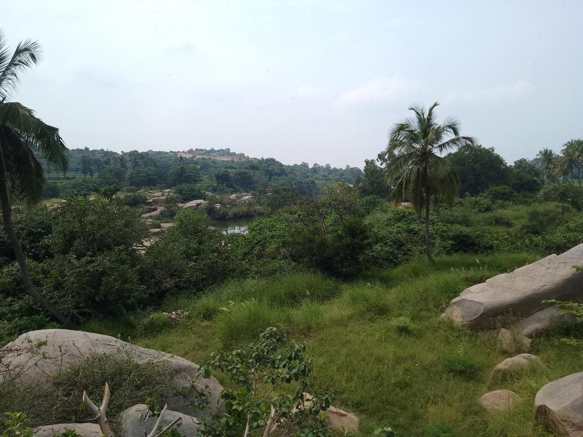 Monkey Paradise Hampi Luaran gambar